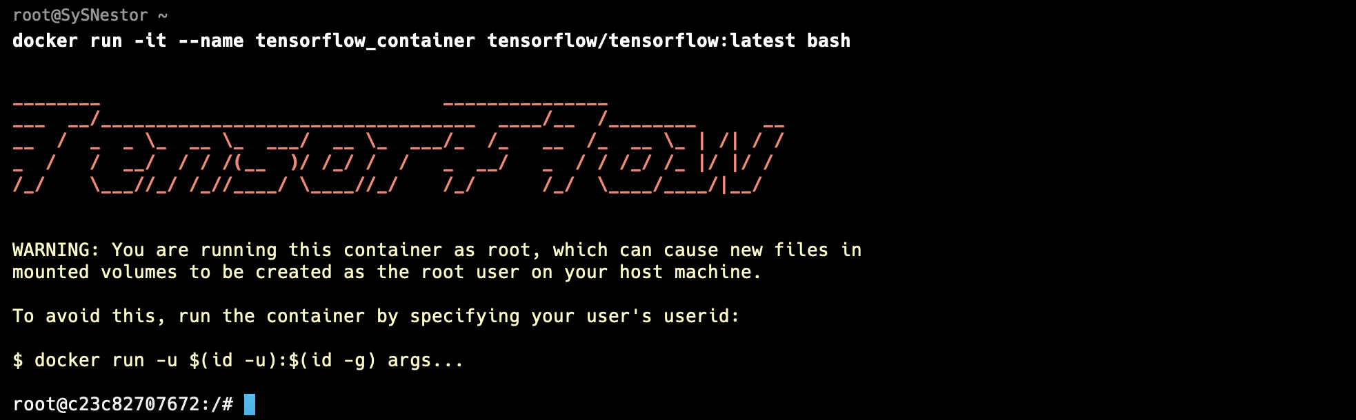 Run-the-TensorFlow-Container.png