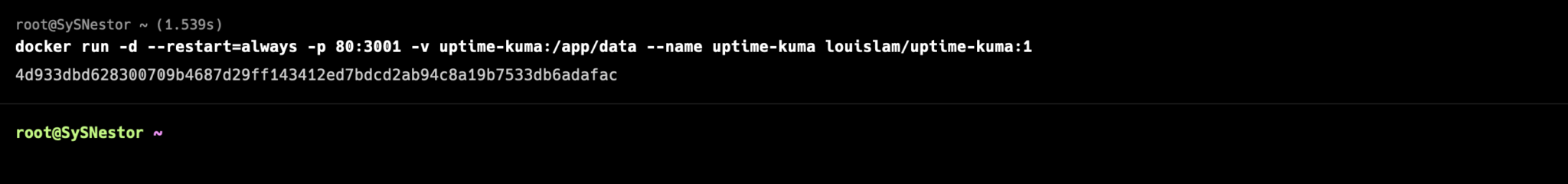 Run-the-Uptime-Kuma-container-2048x240.png