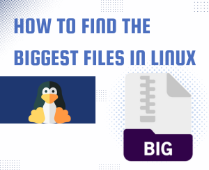 How to Find the Biggest Files in Linux