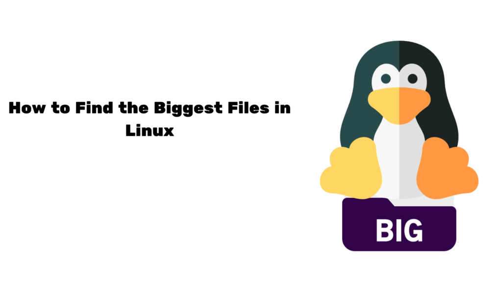 How to Find the Biggest Files in Linux