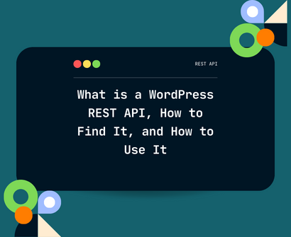 What is a WordPress REST API, How to Find It, and How to Use It