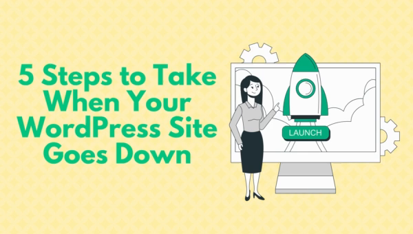 5 Steps to Take When Your WordPress Site Goes Down