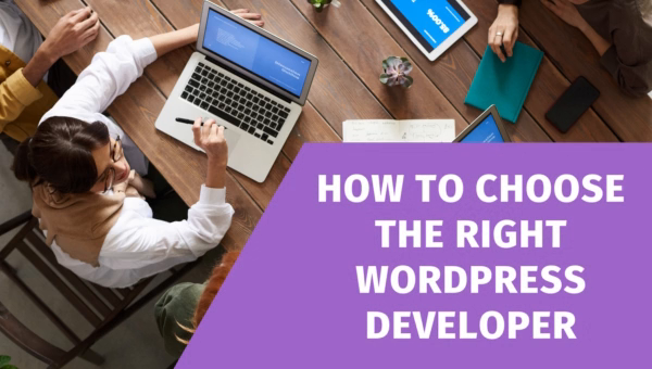 How to choose the right WordPress developer