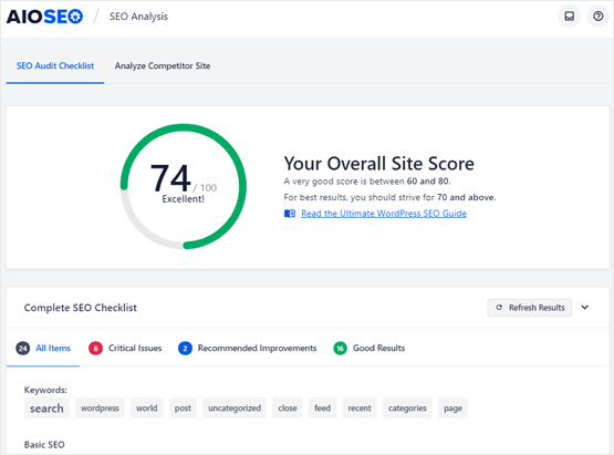 AIOSEO SEO audit